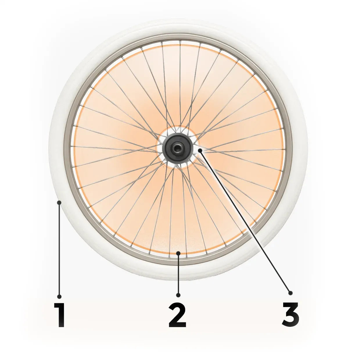 Bergh Special Products