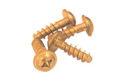 Gouden kruiskopschroeven voor rolstoelonderdelen en accessoires