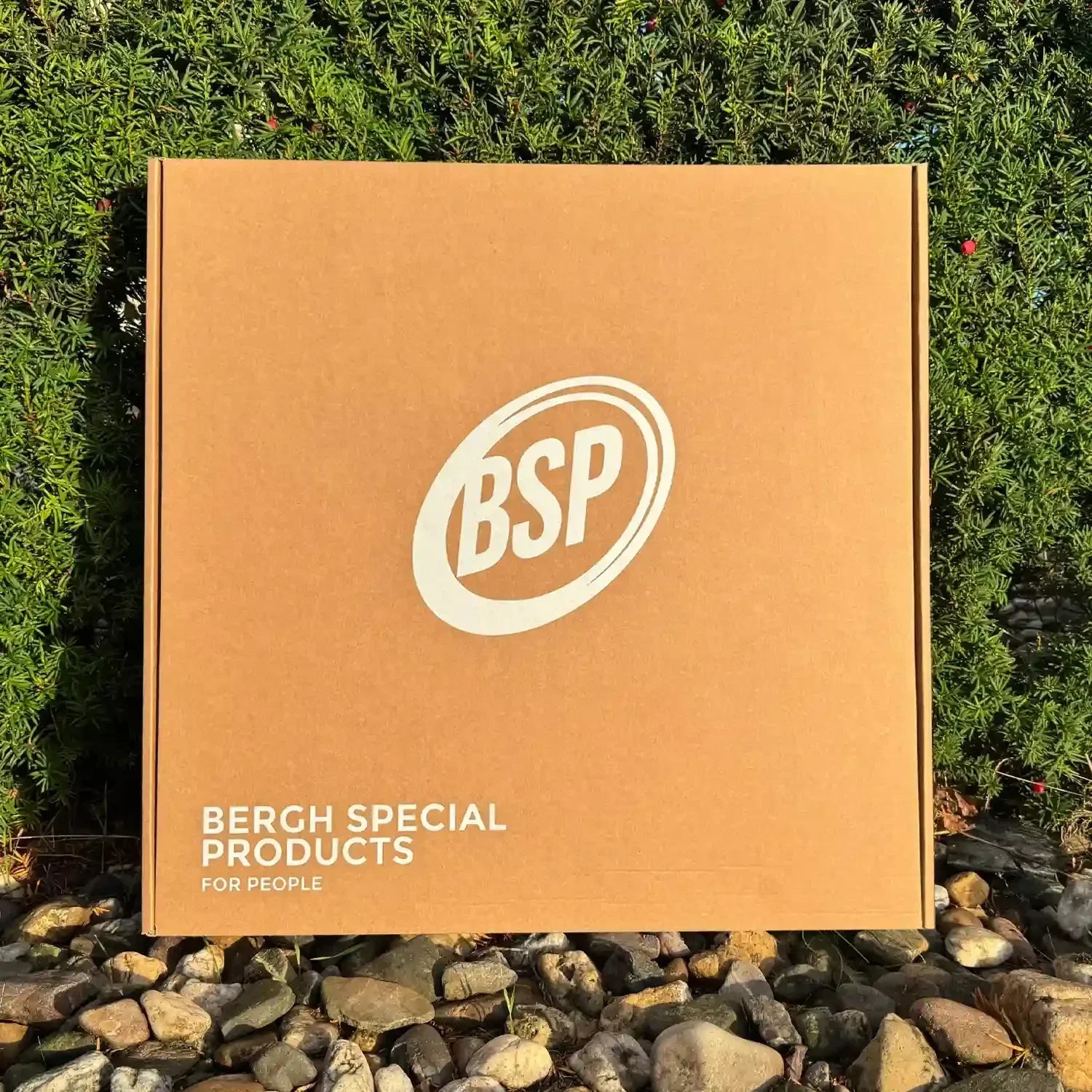 Cardboard shipping box with BSP logo for wheelchair tray accessories outdoors