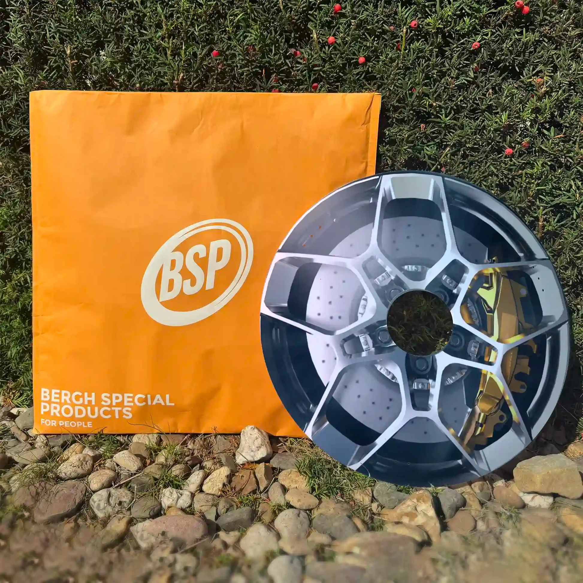 Spoke guard with car wheel design displayed outdoors near an orange product package and green wall