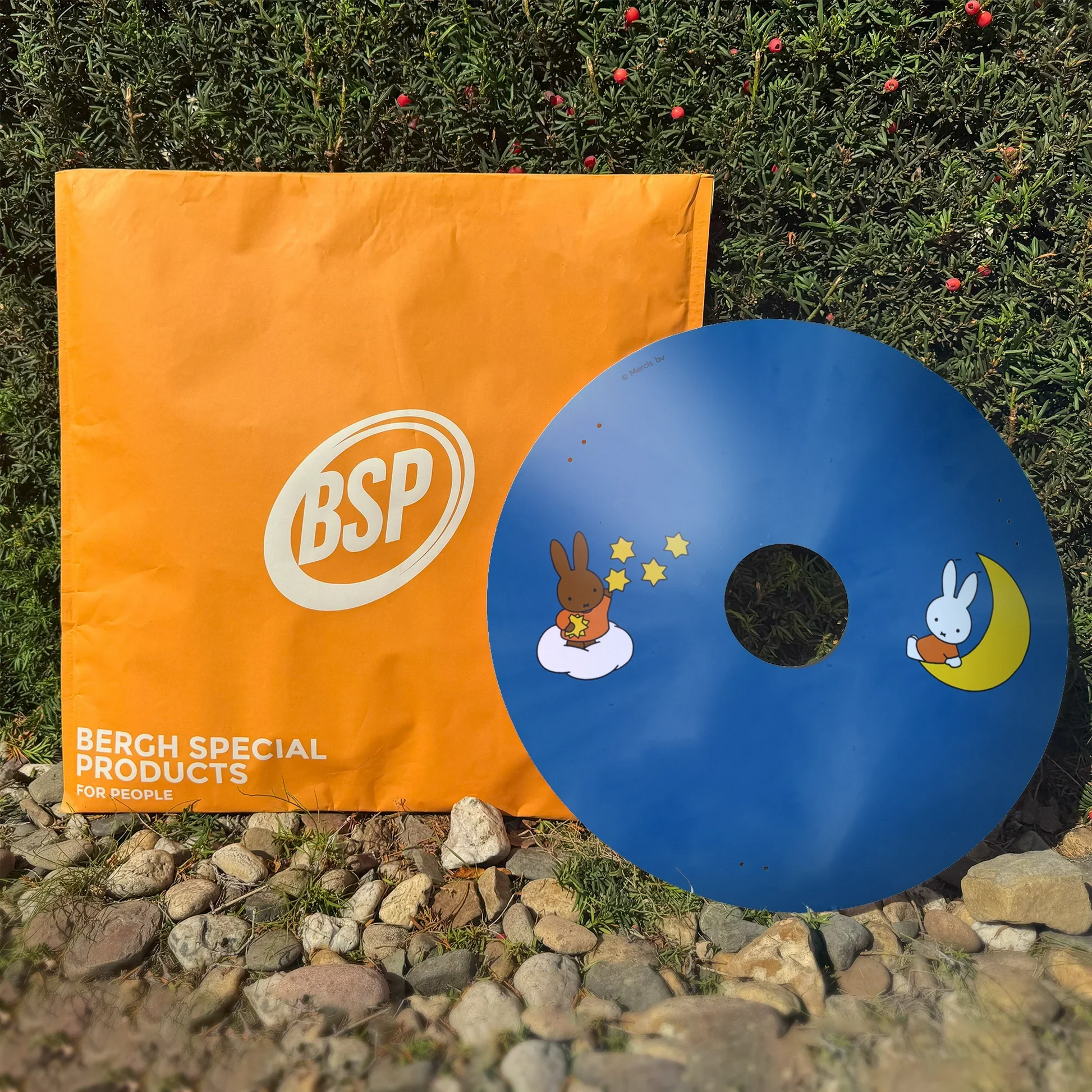 Blue wheelchair spoke guard with cartoon bunnies and stars beside orange BSP packaging outdoors