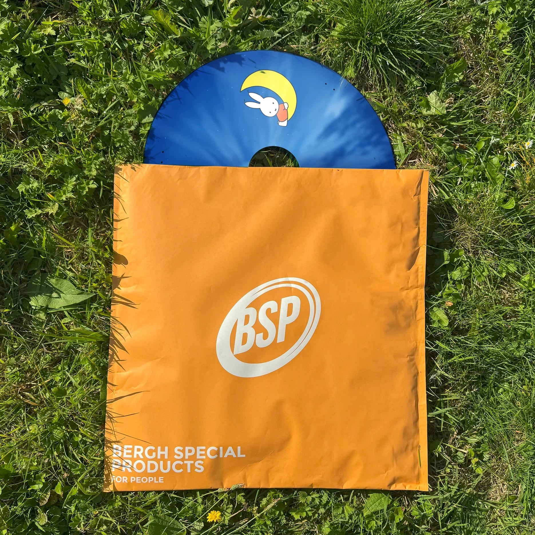 Blue wheelchair spoke guard with cartoon bunny and moon design partially in orange BSP bag on grass