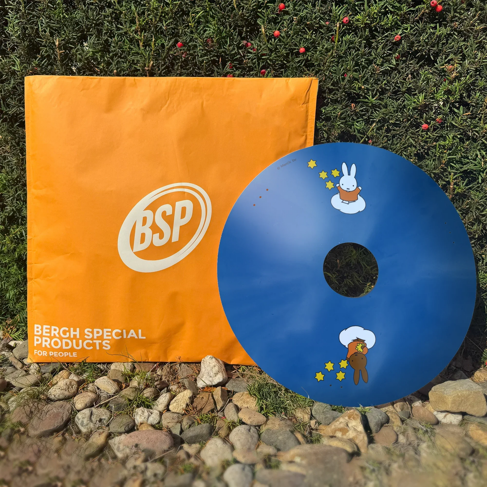 Blue wheelchair spoke guard with cartoon bunny and stars, displayed outdoors by orange BSP bag