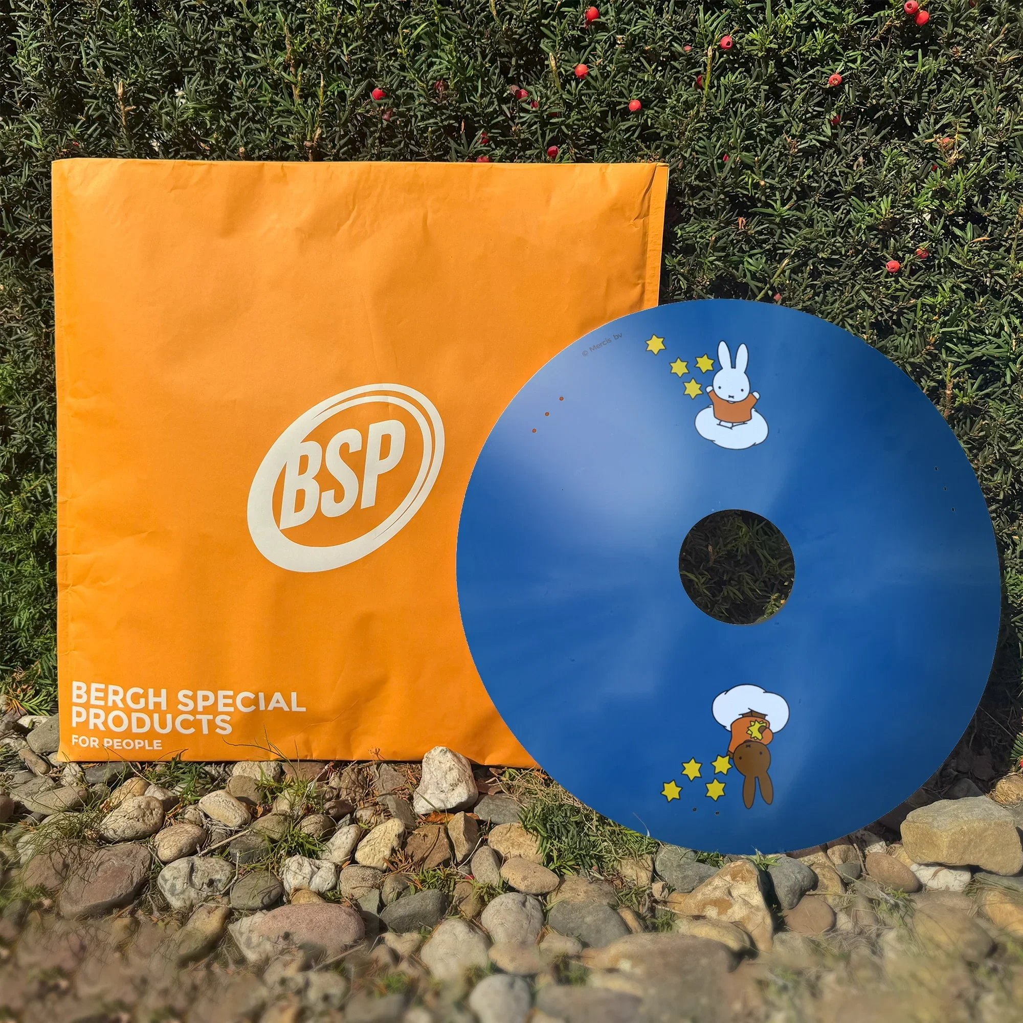 Blue wheelchair spoke guard with cartoon bunny and stars, displayed outdoors by orange BSP bag