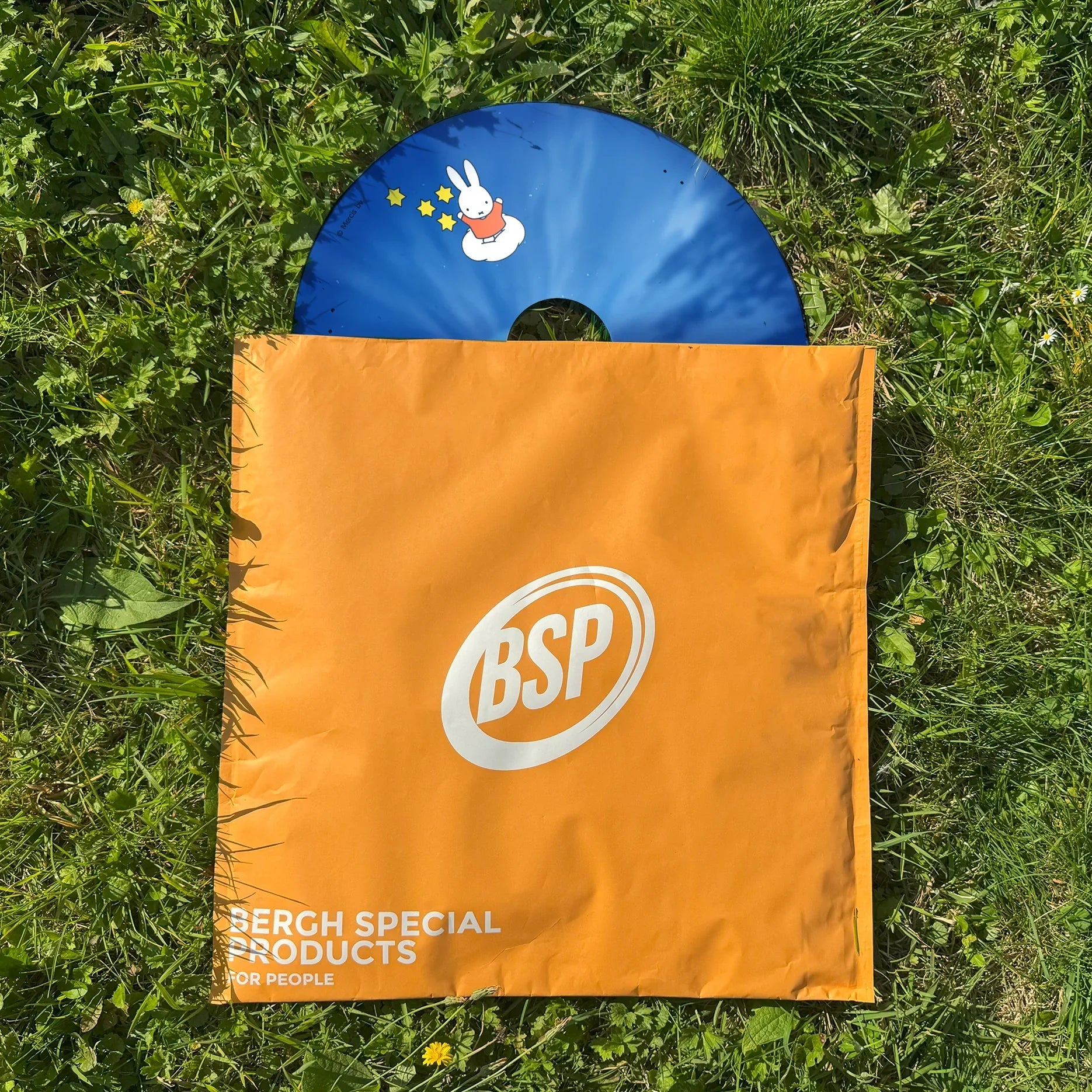 Blue wheelchair spoke guard with cartoon bunny and stars, partly in orange BSP bag on grass