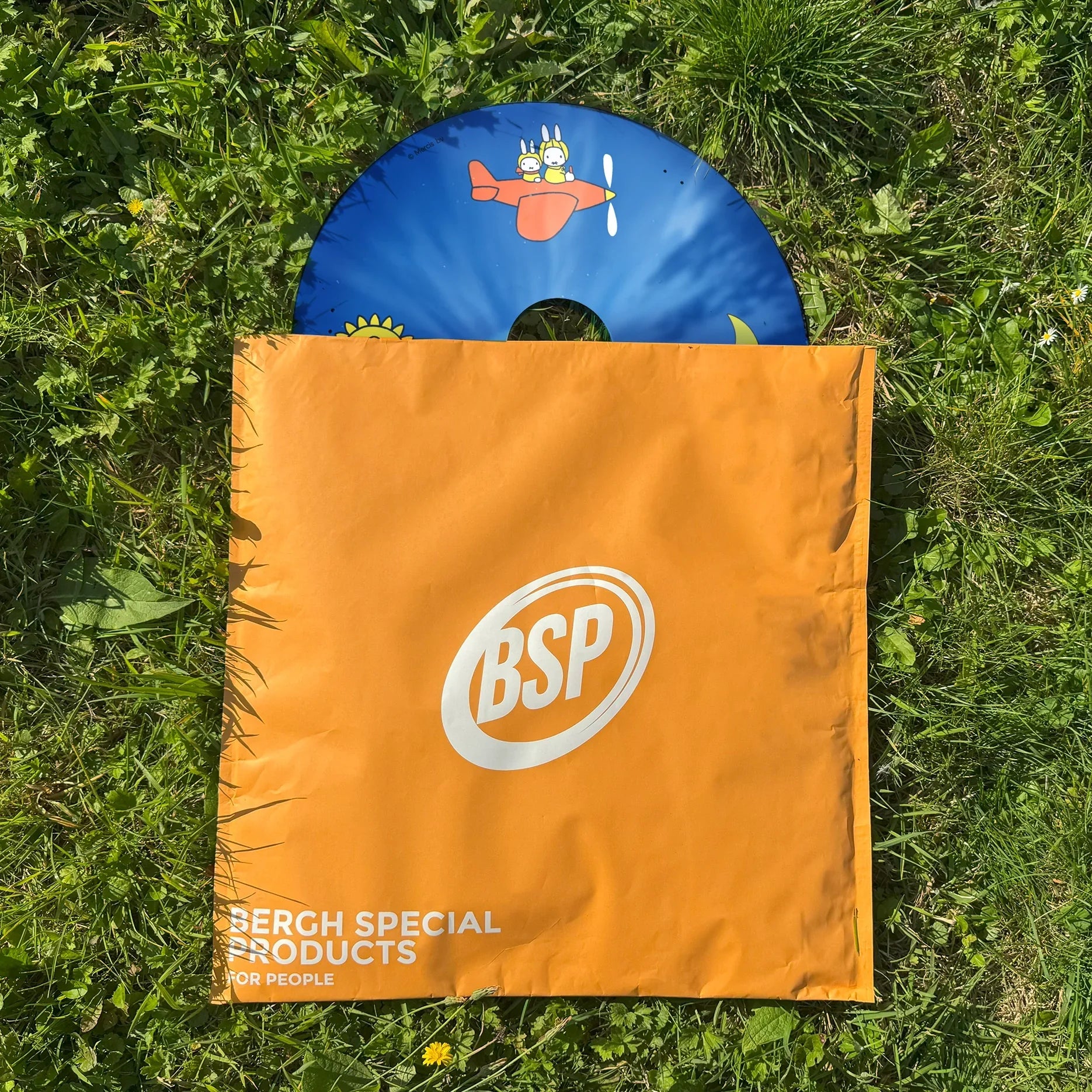 Colorful wheelchair spoke guard with cartoon bunny in airplane, partially in orange BSP bag on grass
