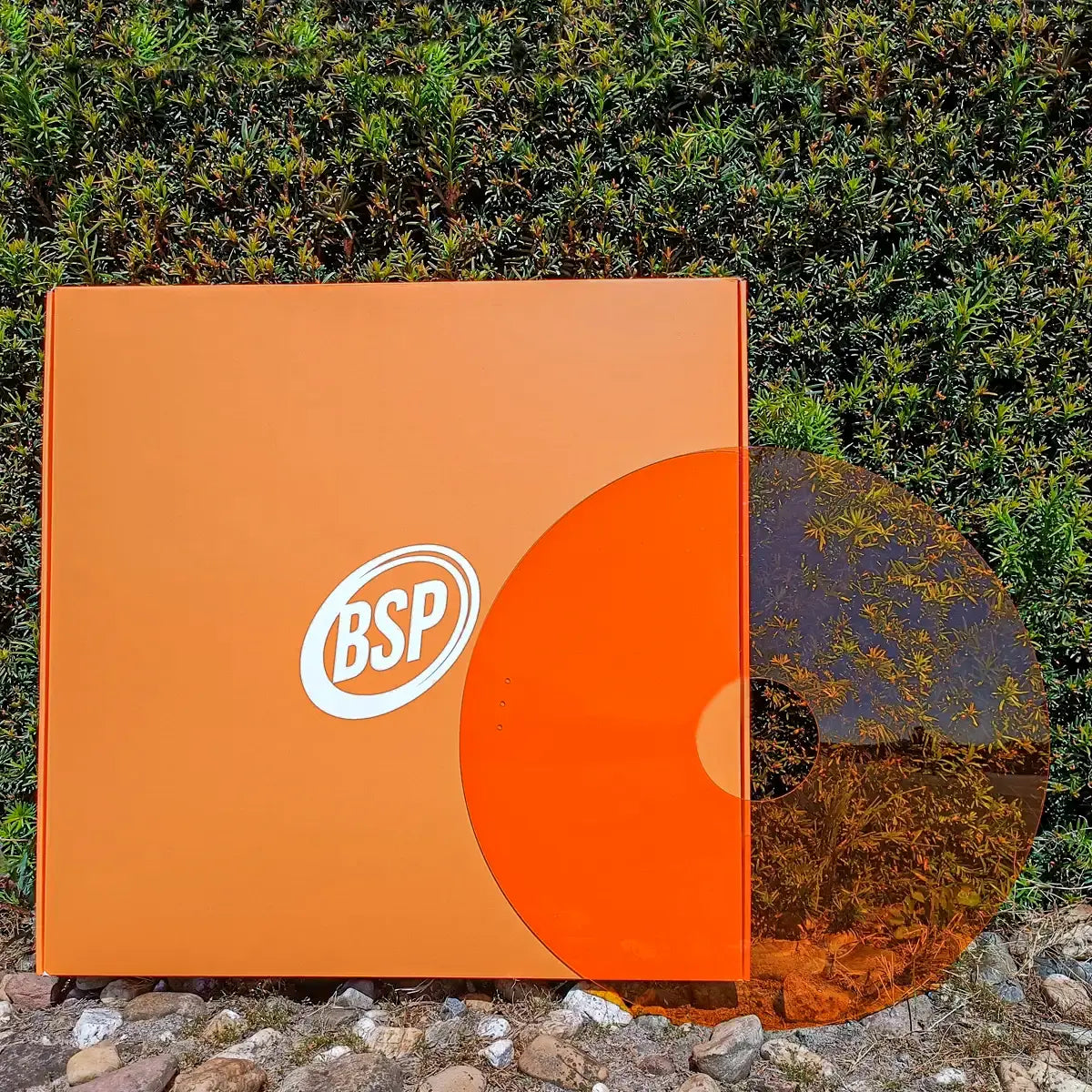 Orangefarbener Rollstuhl-Speichenschutz mit transparenter Mitte auf Felsen nahe einer grünen Wand, Rollstuhlzubehör