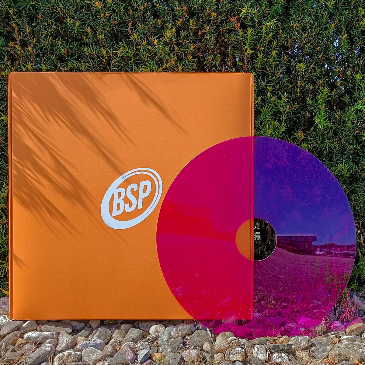Purple wheelchair spoke guard displayed outdoors on rocks near green wall and orange BSP bag