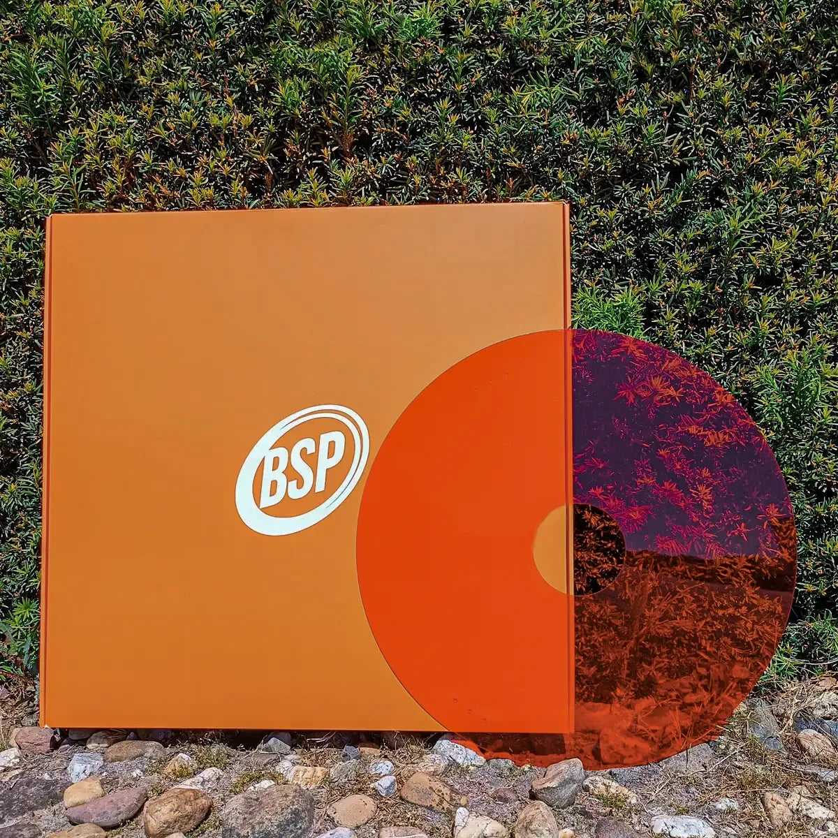 Roter Rollstuhl-Speichenschutz und orangefarbene BSP-Verpackung auf Steinen vor grüner Wand