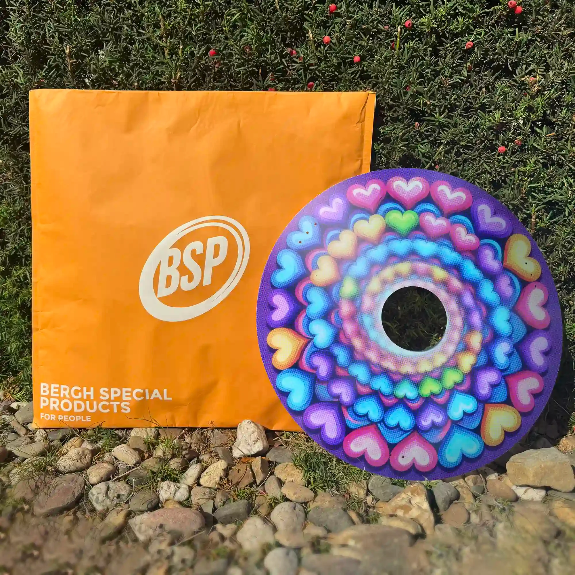 Colorful heart-pattern wheelchair spoke guard beside an orange BSP packaging on rocks and grass