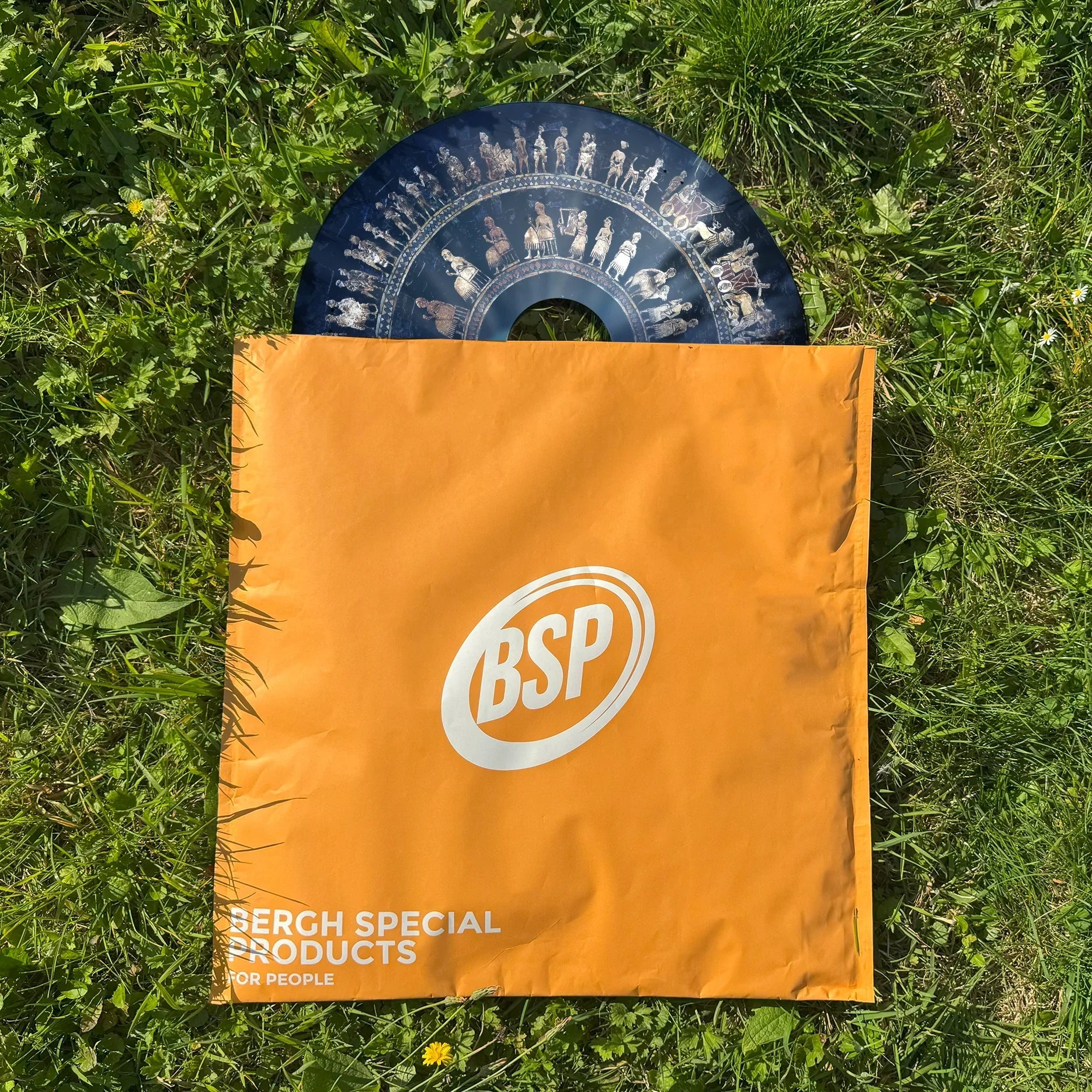 Rollstuhl-Speichenschutz mit historischem Kunstmotiv teilweise in orangefarbener BSP-Tasche auf Gras