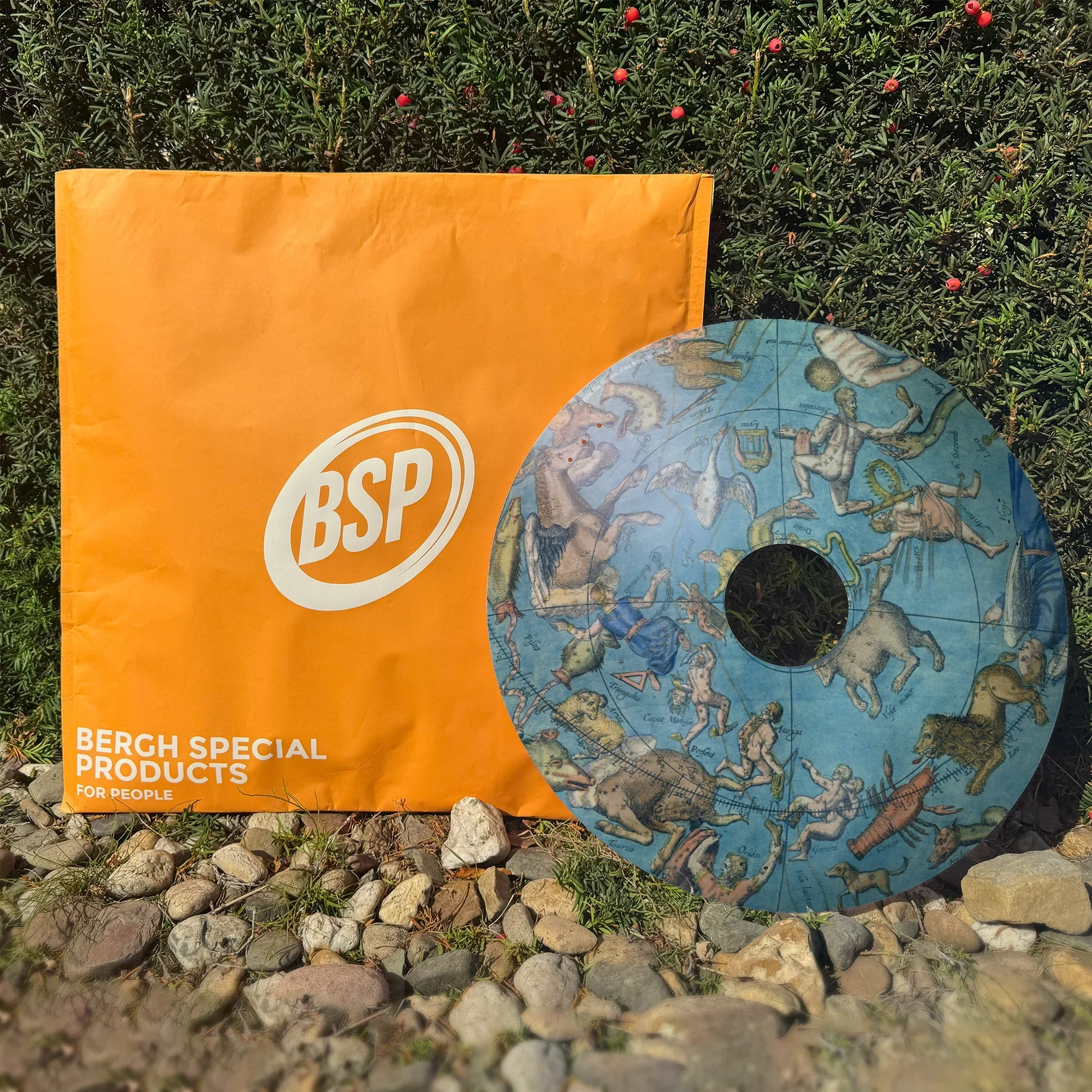 Celestial globe wheelchair spoke guard with constellation design beside orange BSP packaging outdoors