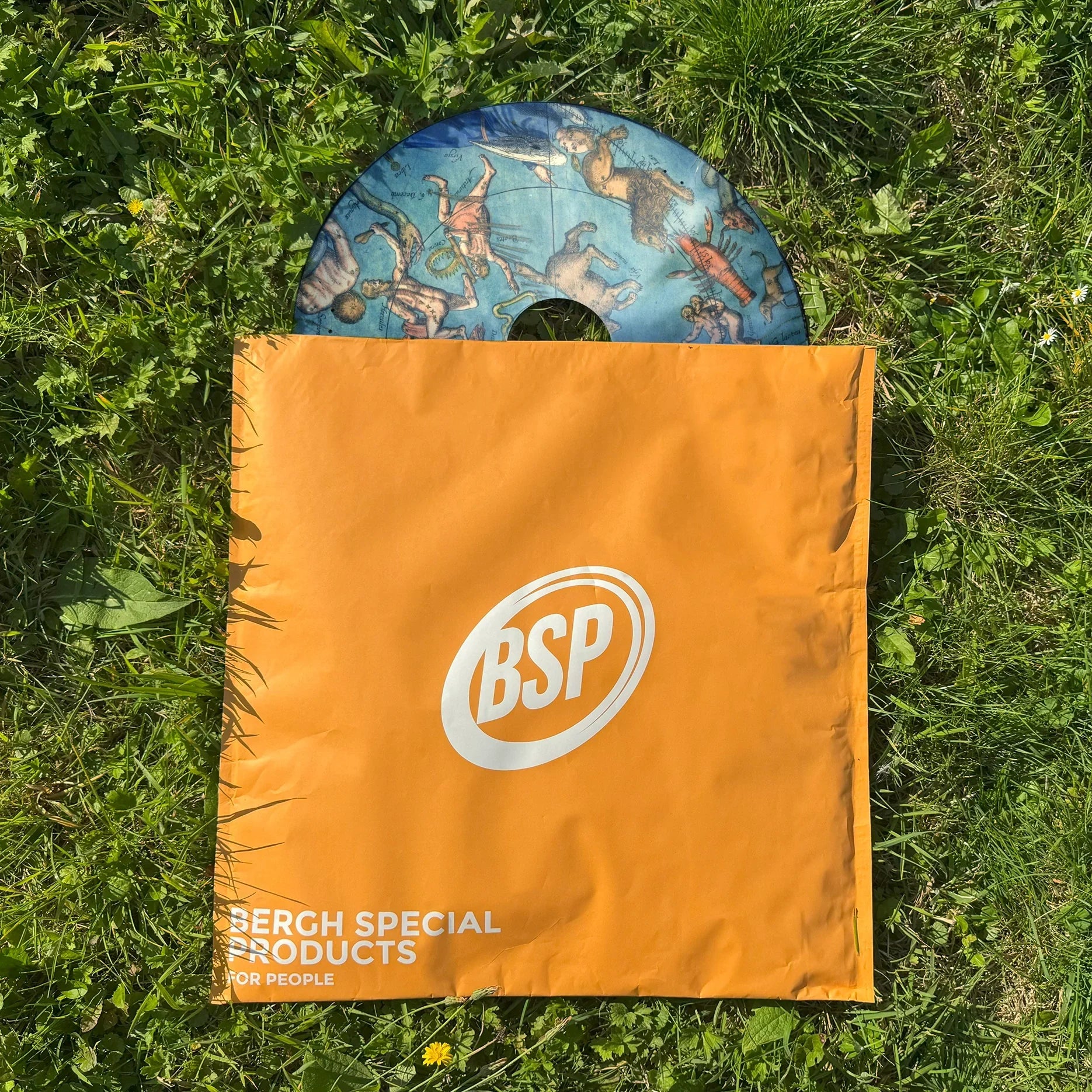 Celestial design wheelchair spoke guard partially in orange BSP bag on grass