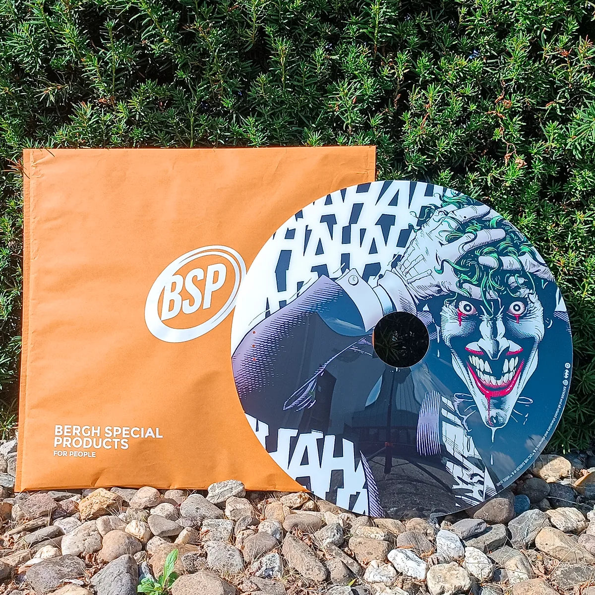 Rollstuhl-Speichenschutz – Joker