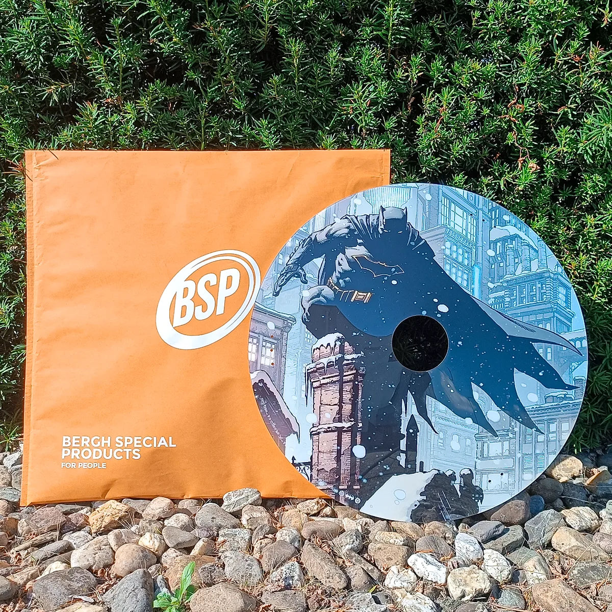 Rollstuhl-Speichenschutz - Batman Winter in Gotham