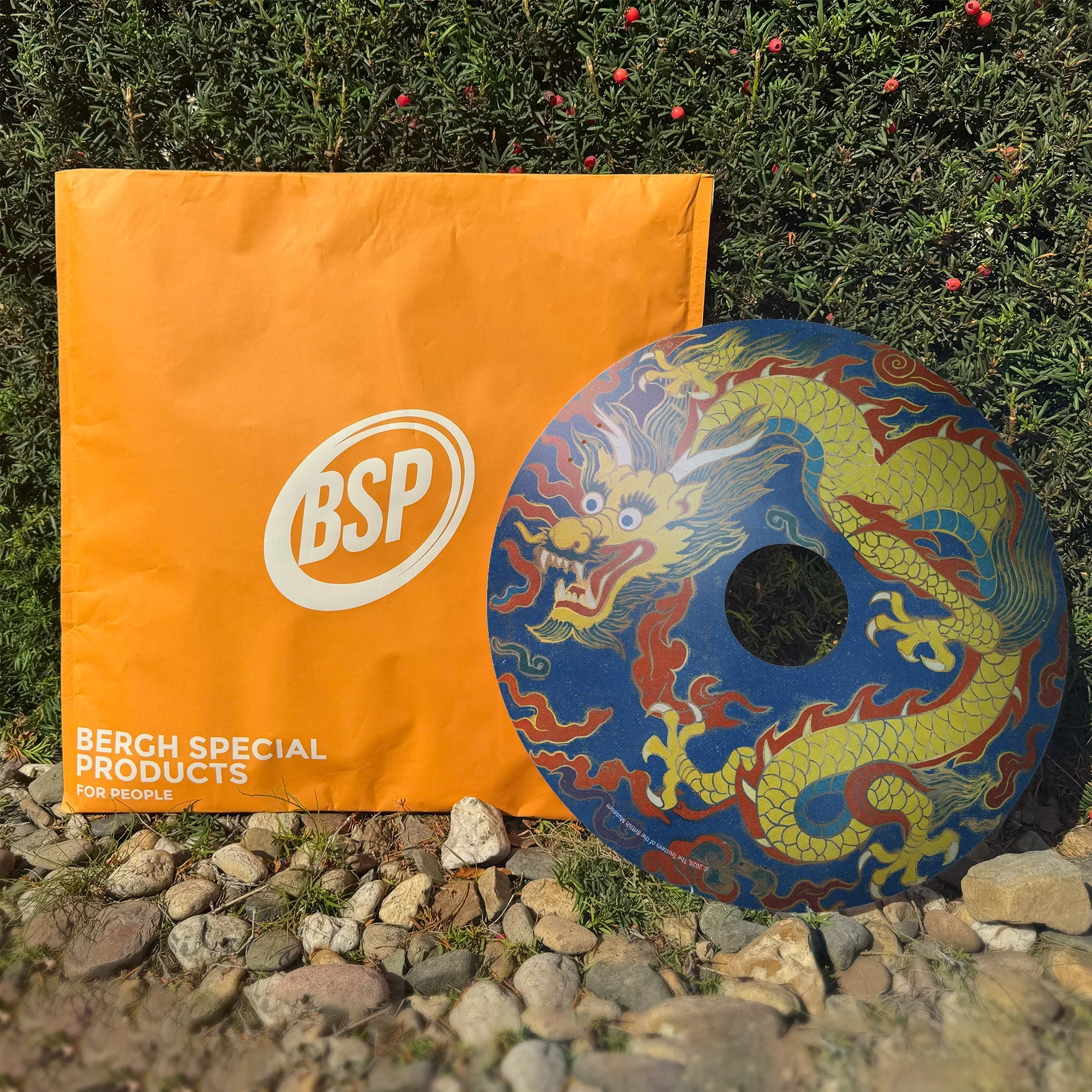 Wheelchair spoke guard with colorful dragon design next to orange BSP package outdoors