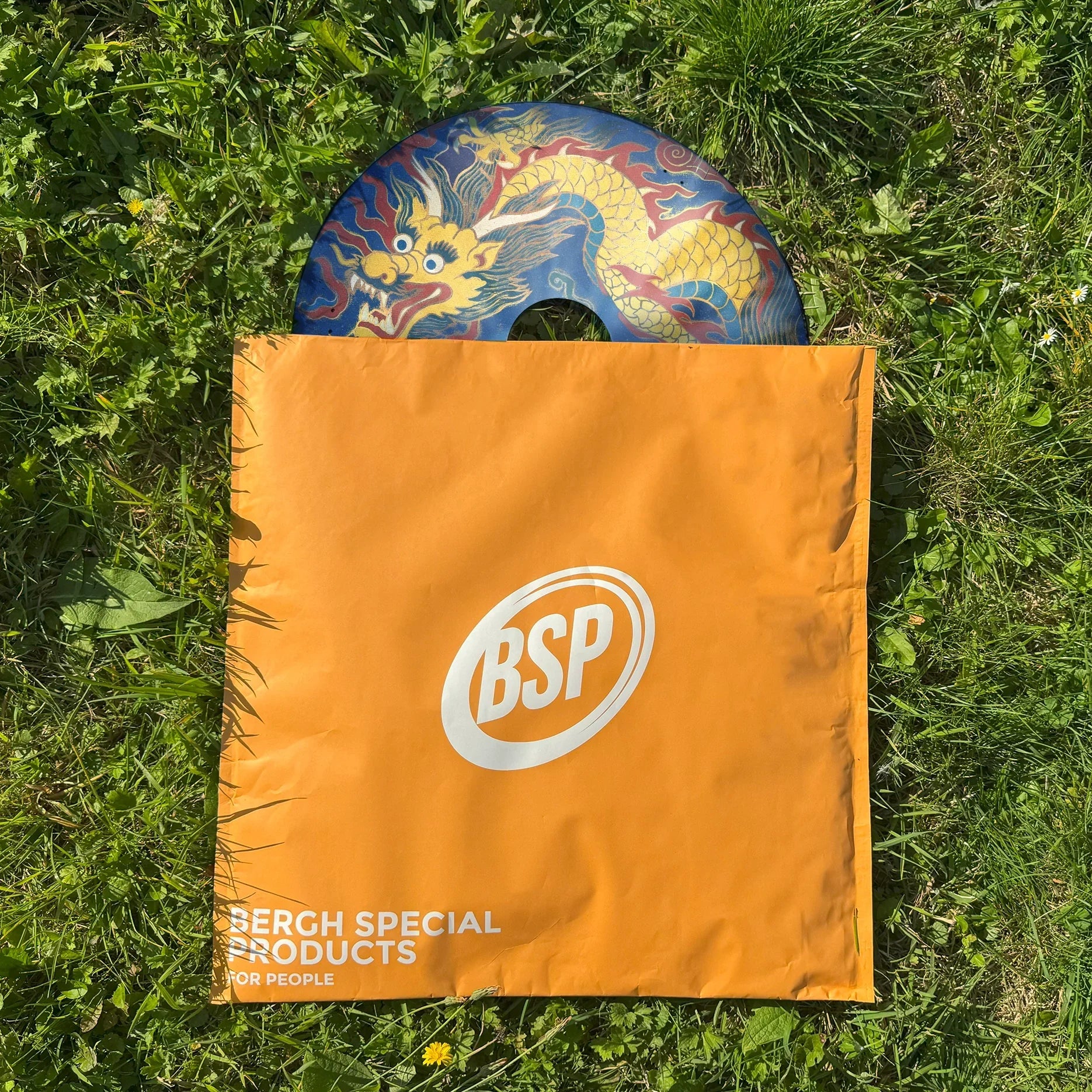 Colorful dragon wheelchair spoke guard partially in orange BSP bag on green grass