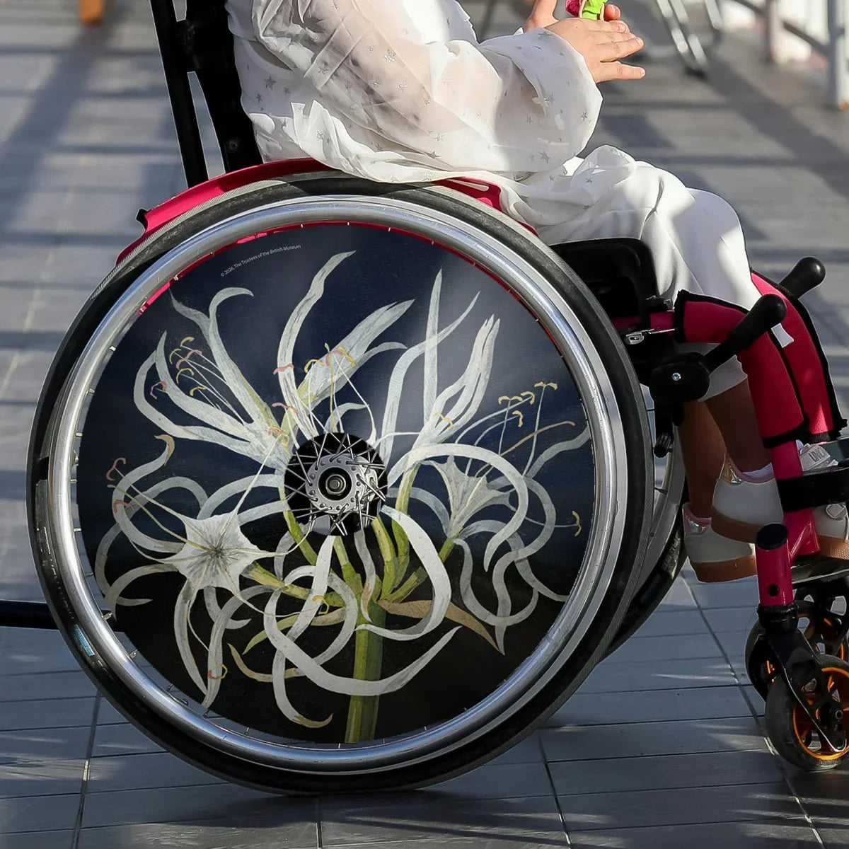 Girl in wheelchair with decorative sea daffodil spoke guards on wheel, outdoor setting