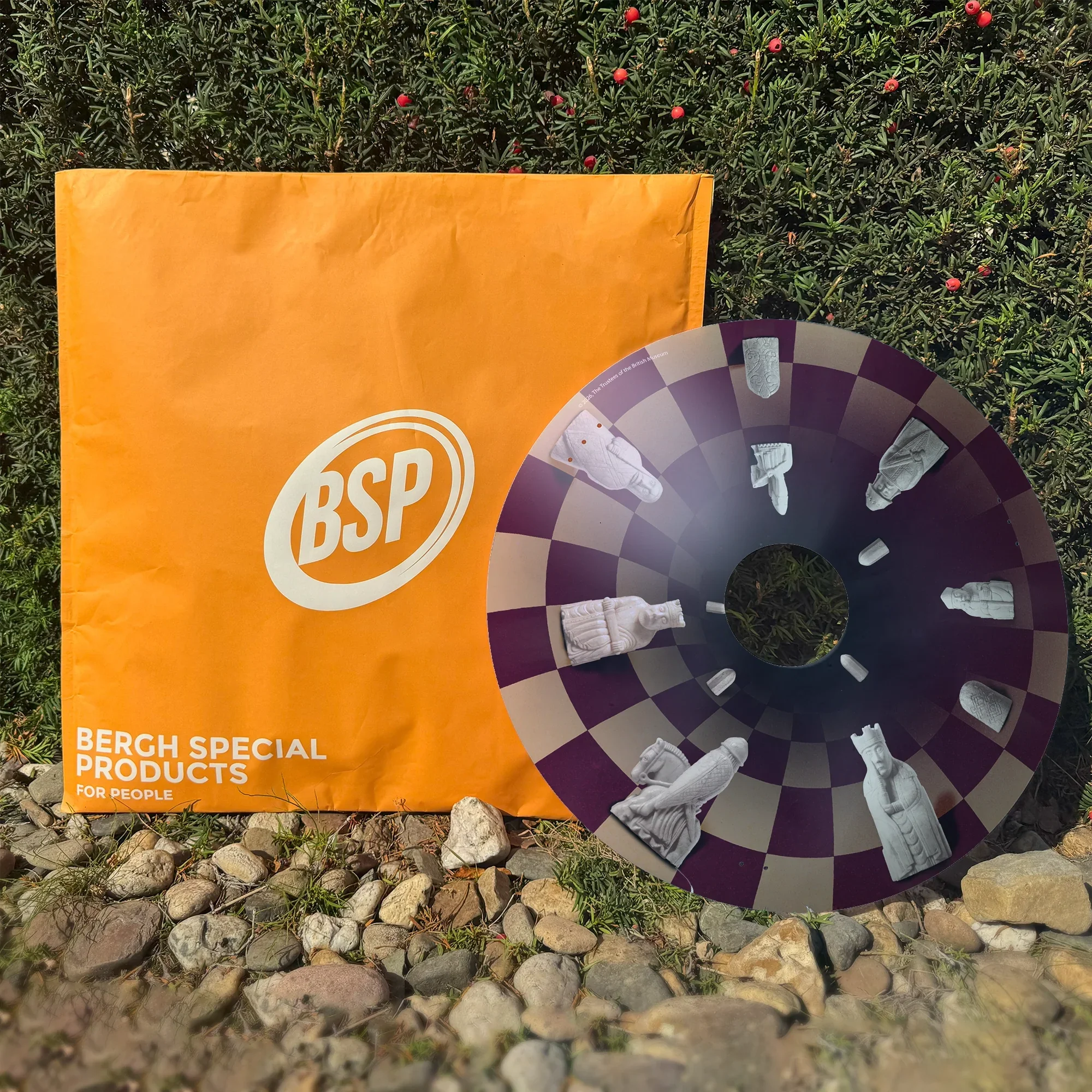 Chess-themed wheelchair spoke guard with Lewis chessmen design on grass beside orange BSP packaging