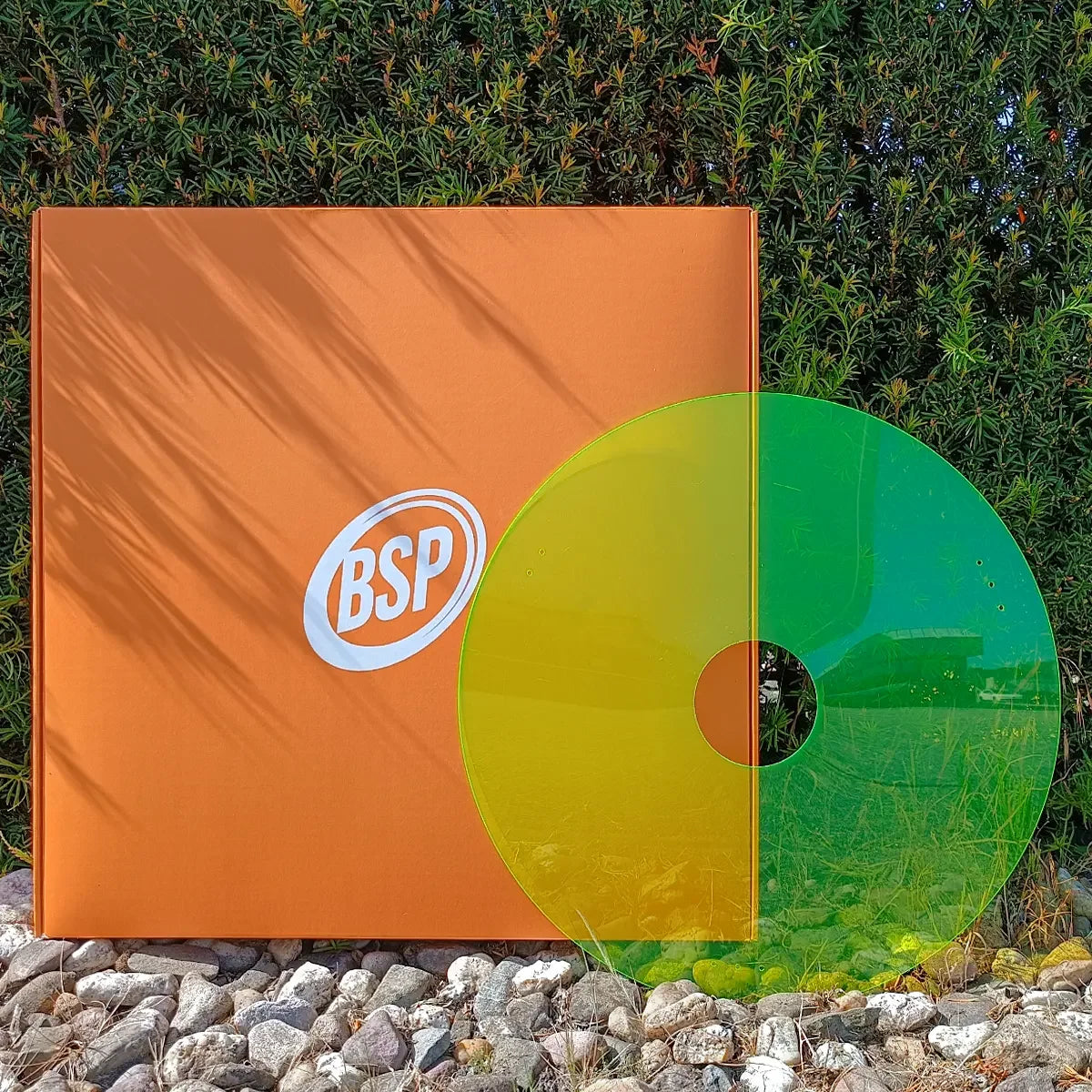 BSP-branded orange box with gradient yellow-green disc, set against green foliage and gravel