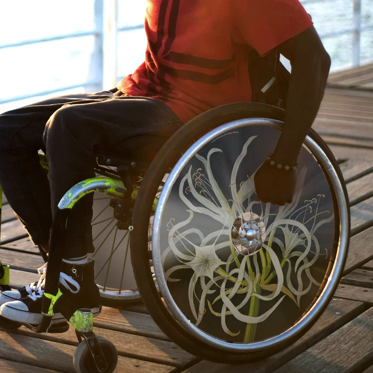 Man outdoors in wheelchair with decorative sea daffodil spoke guards on wheel