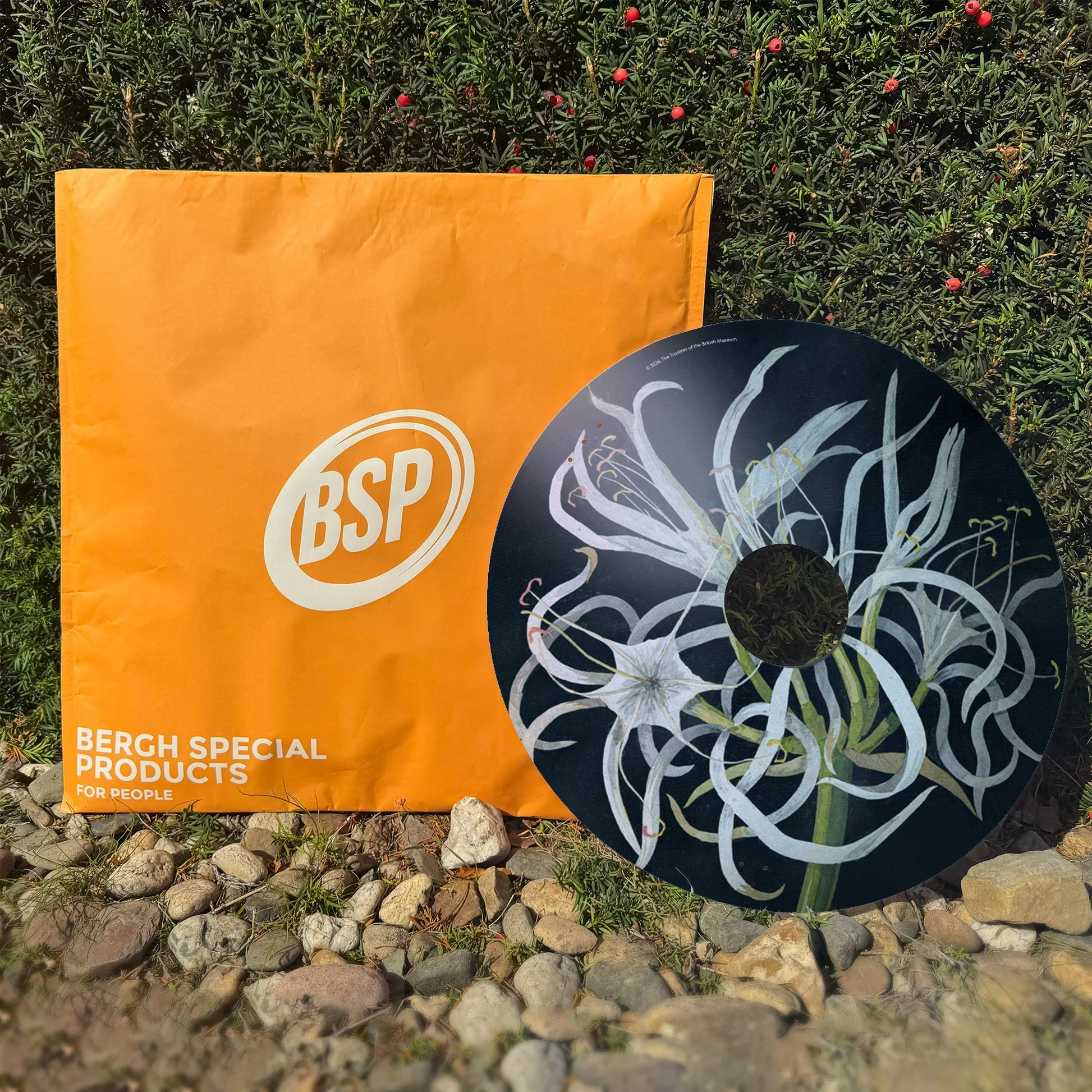 Decorative wheelchair spoke guard with sea daffodil design beside orange package outdoors