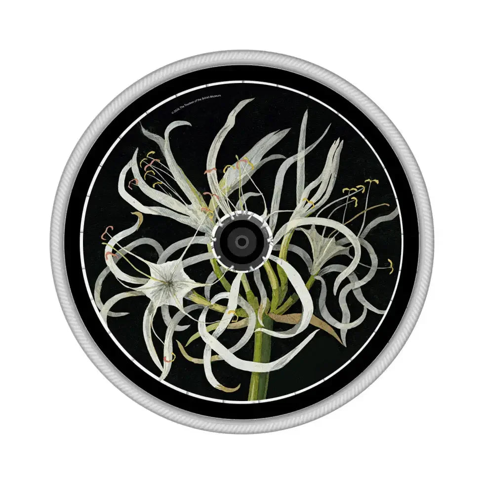 Wheelchair spoke guard with white sea daffodil flower design on black background