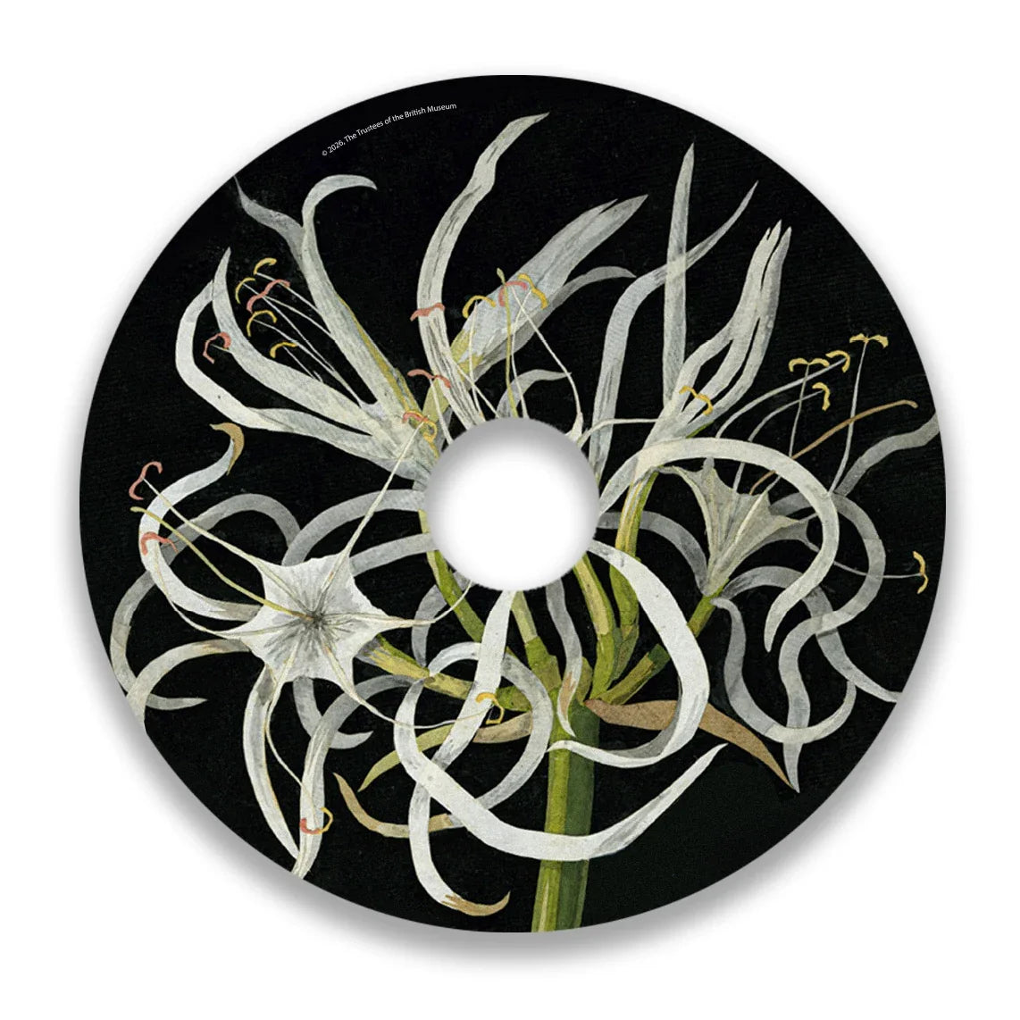 Wheelchair spoke guard with sea daffodil floral art on a black background