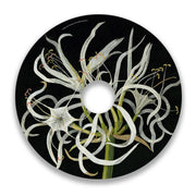 Wheelchair spoke guard with sea daffodil floral art on a black background