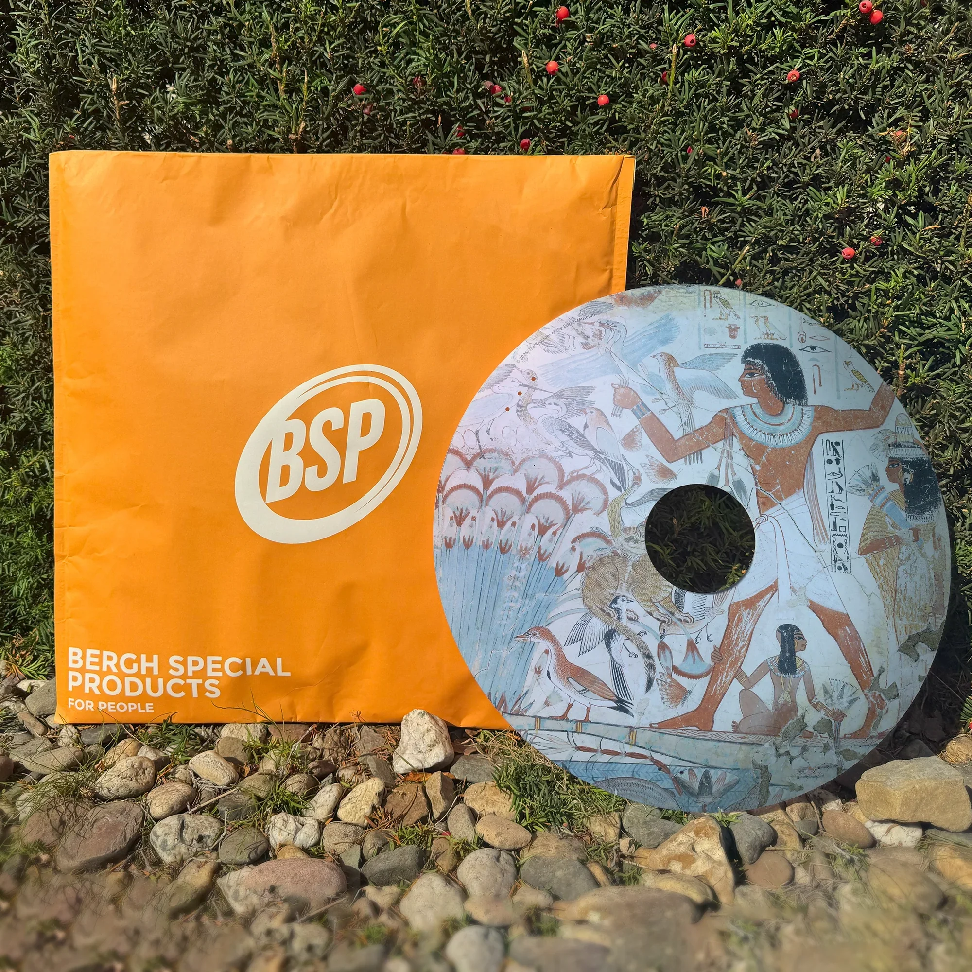Decorative wheelchair spoke guard with Egyptian art beside orange BSP package outdoors