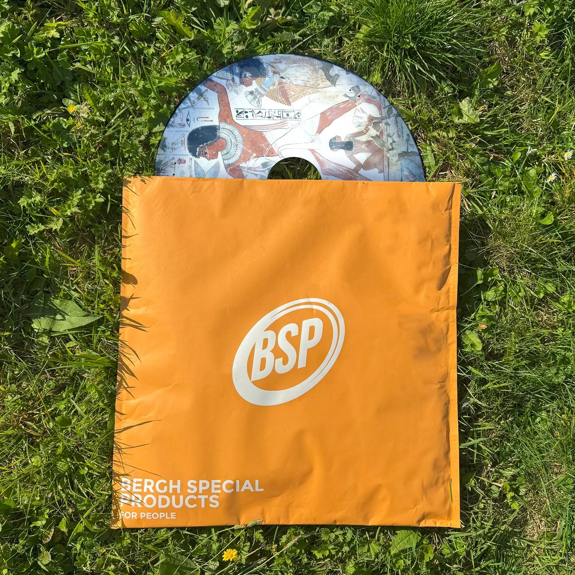 Decorative wheelchair spoke guard with ancient Egyptian motif partially in orange BSP bag on grass