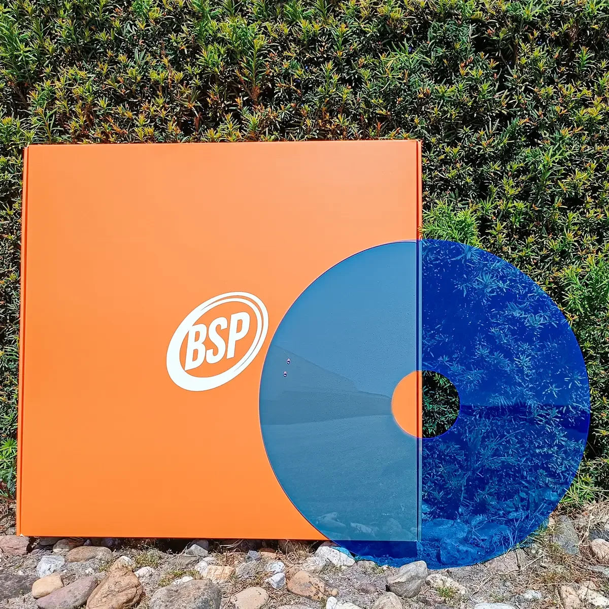 Orange BSP box with blue vinyl record, set against green shrubs and rocks outdoors