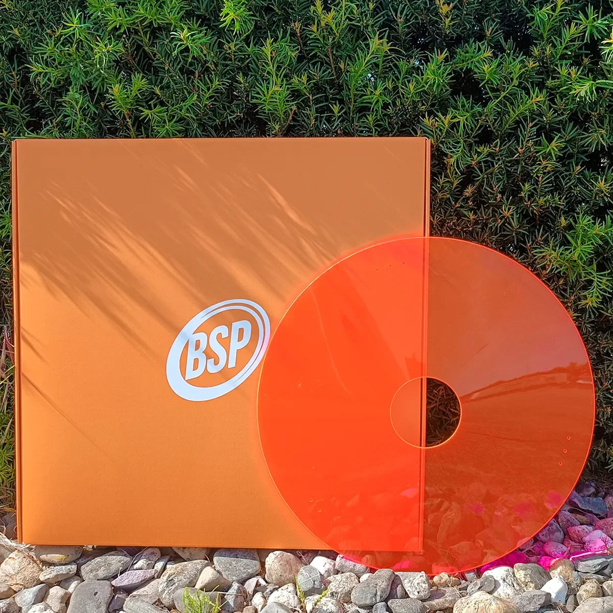 Orange BSP-branded box with translucent disc, set against green shrubs and stones