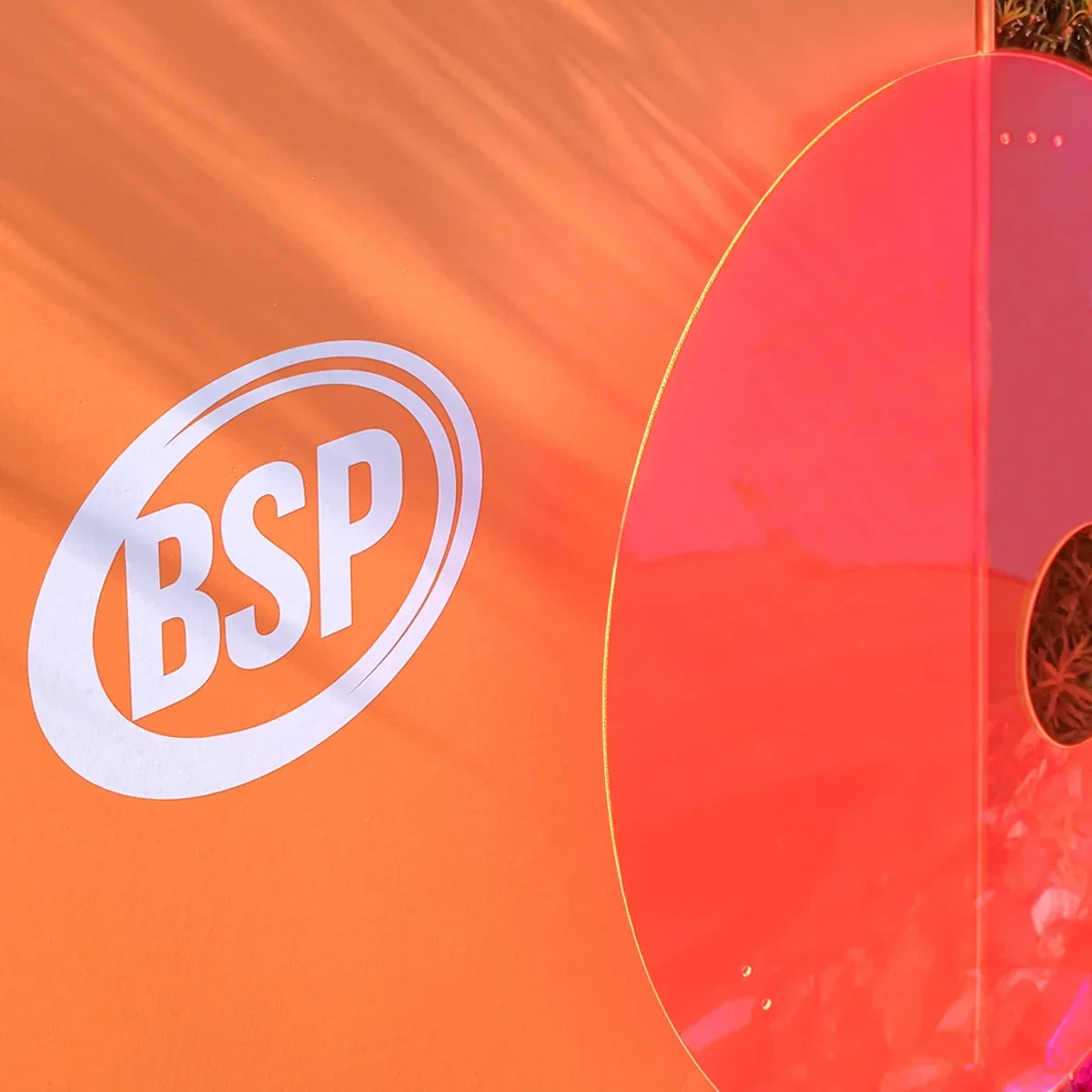 BSP logo on orange fabric beside red wheelchair spoke guard
