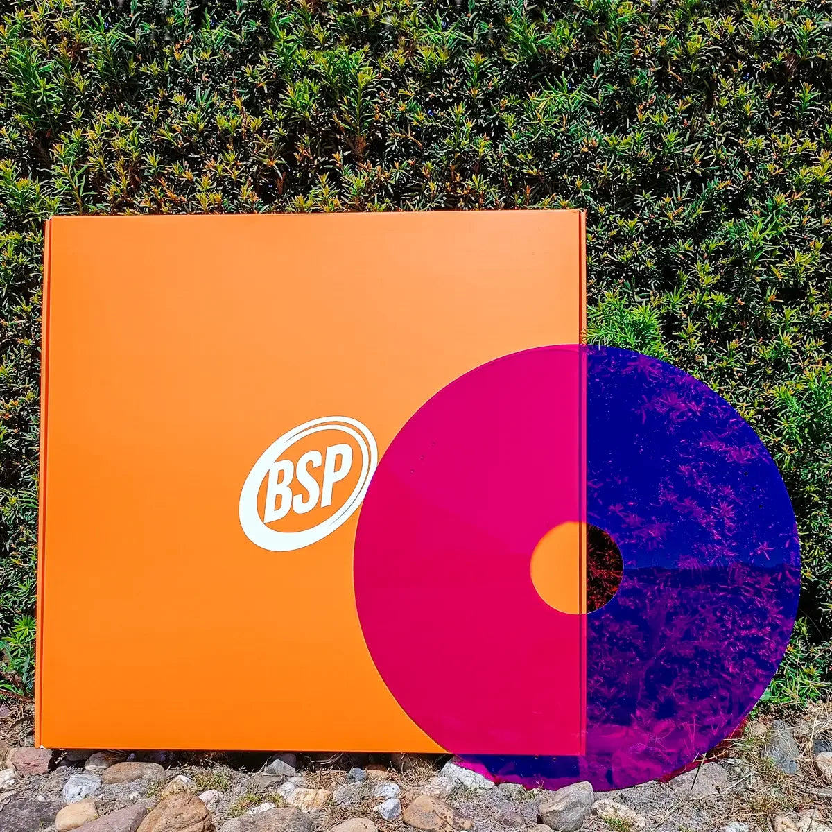 BSP logo on orange box with pink and purple vinyl record against green hedge