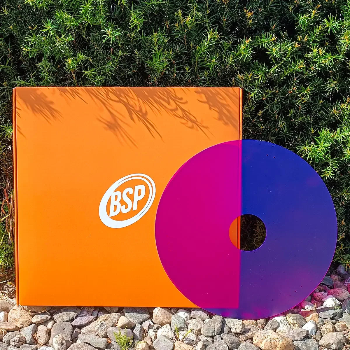 BSP logo on orange box with pink and blue circular disc, set against green foliage and rocks