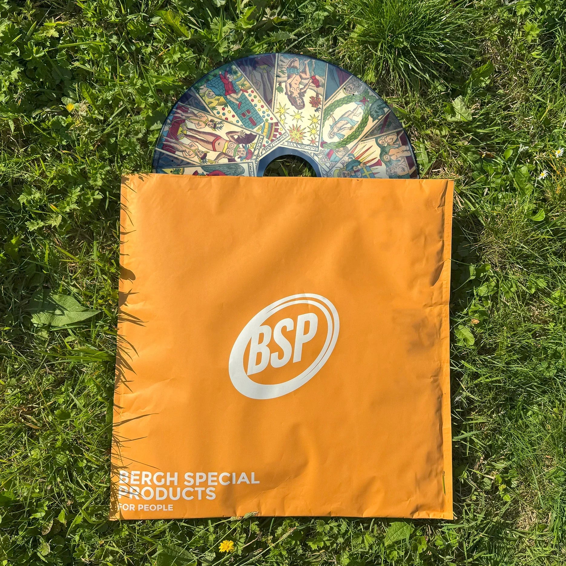 Tarot-themed wheelchair spoke guard partially in orange BSP bag on green grass