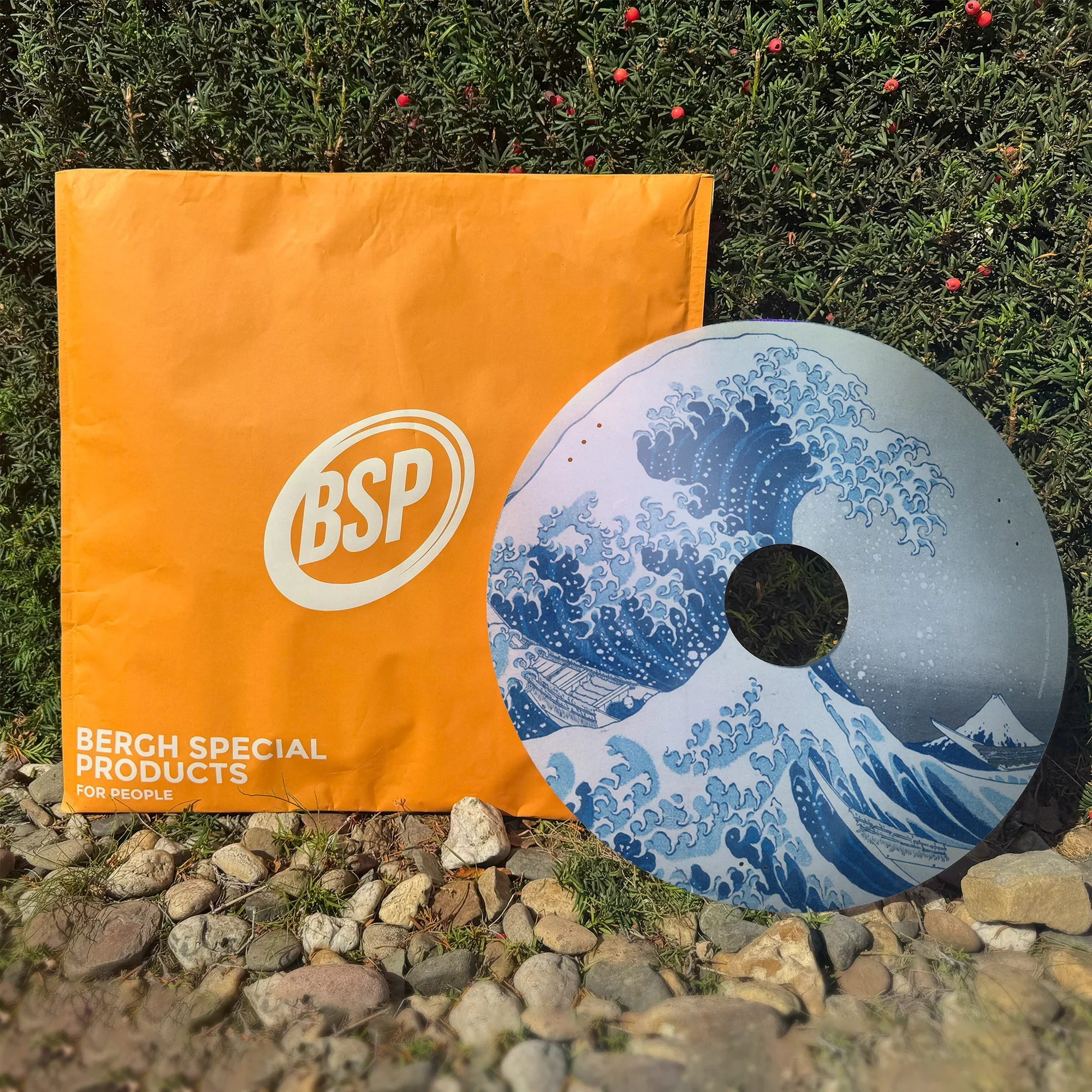 Wheelchair spoke guard featuring Great Wave design beside orange BSP packaging outdoors