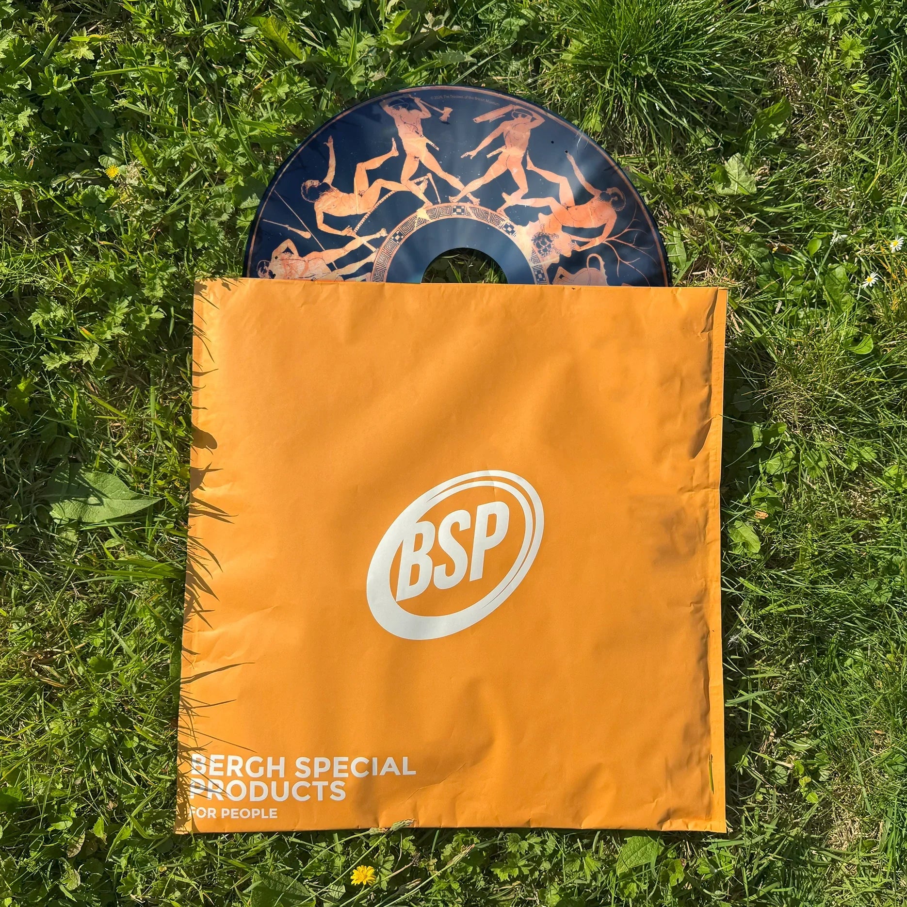 Decorative wheelchair spoke guard with Theseus and Minotaur design on grass and BSP packaging