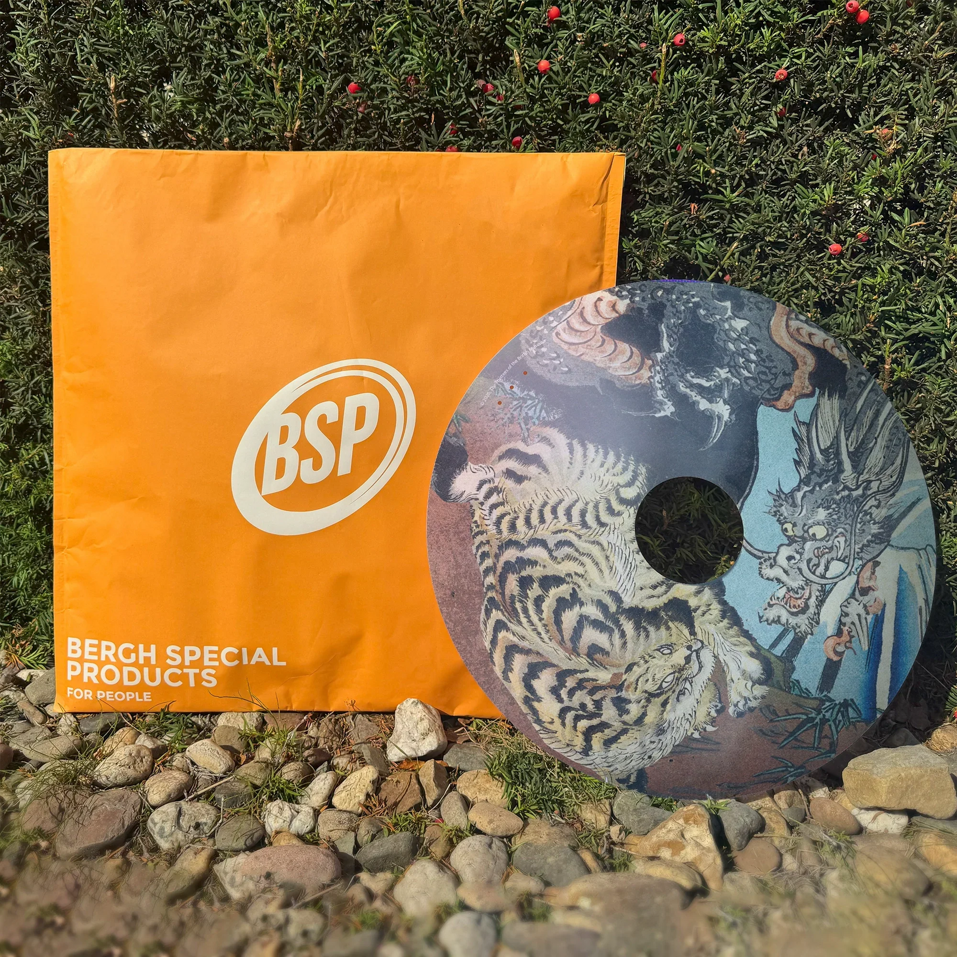Tiger and dragon wheelchair spoke guard with colorful print, displayed outdoors by green bush