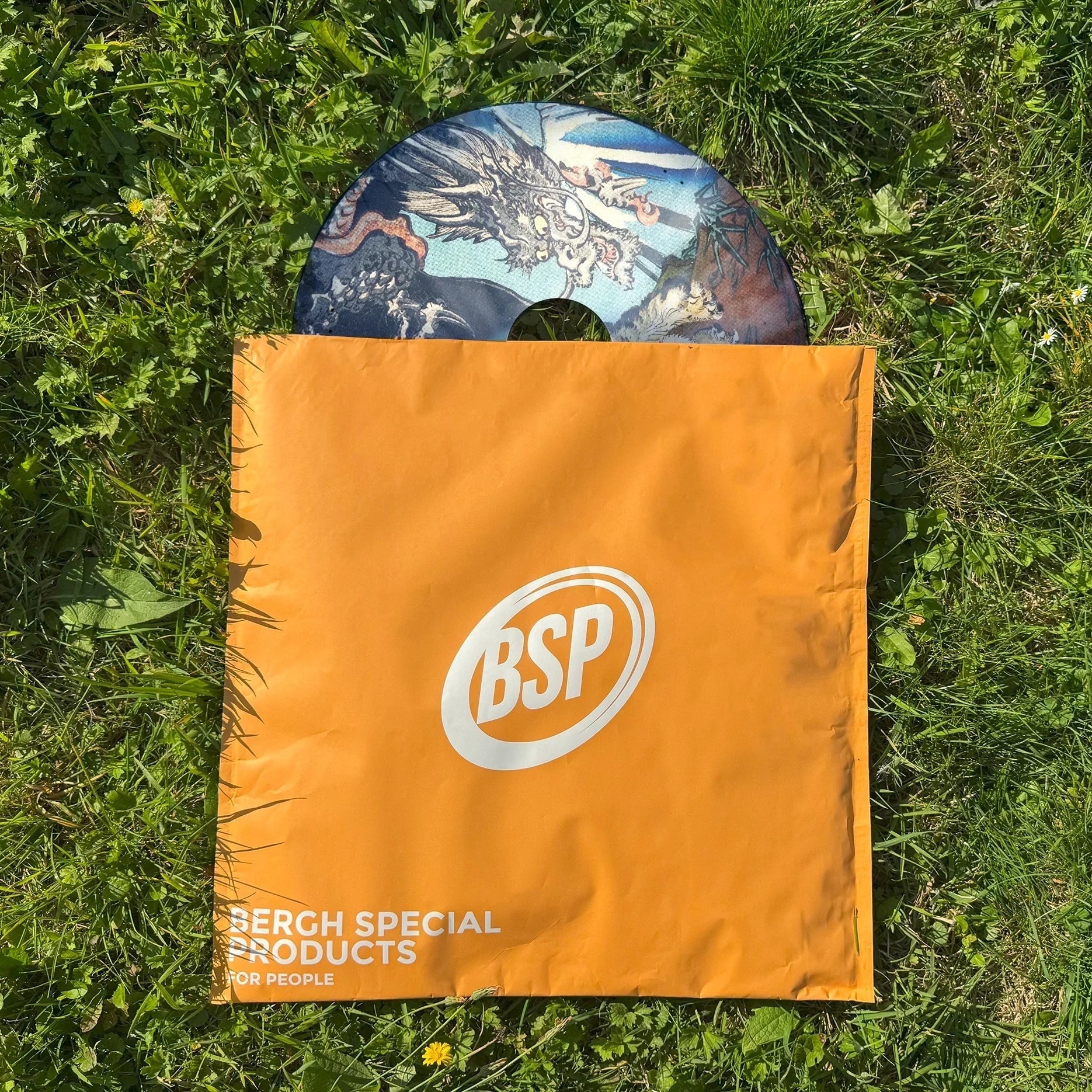 Decorative dragon wheelchair spoke guard partially in orange BSP bag on grass