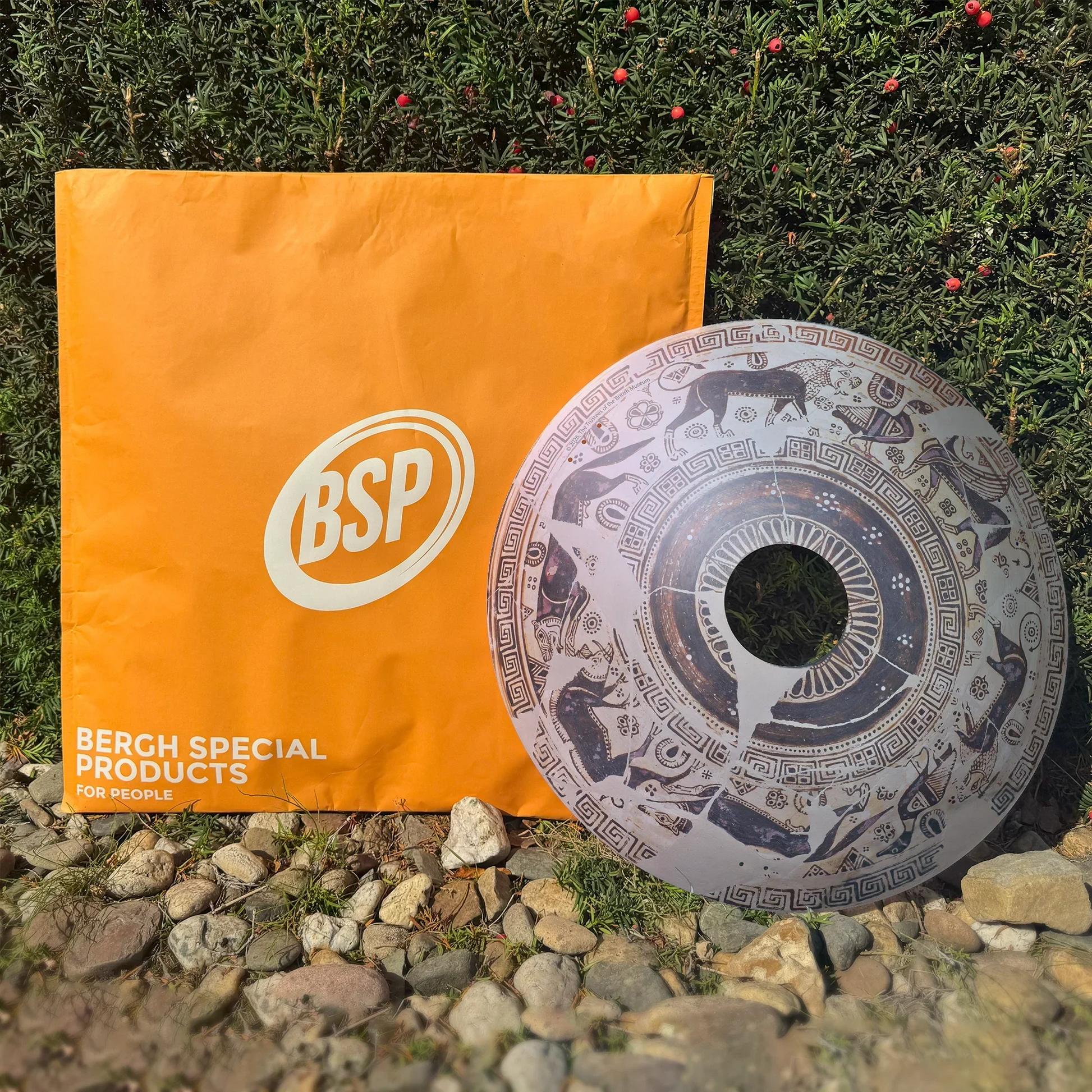 Decorative wheelchair spoke guard with wild goat design beside orange BSP packaging outdoors