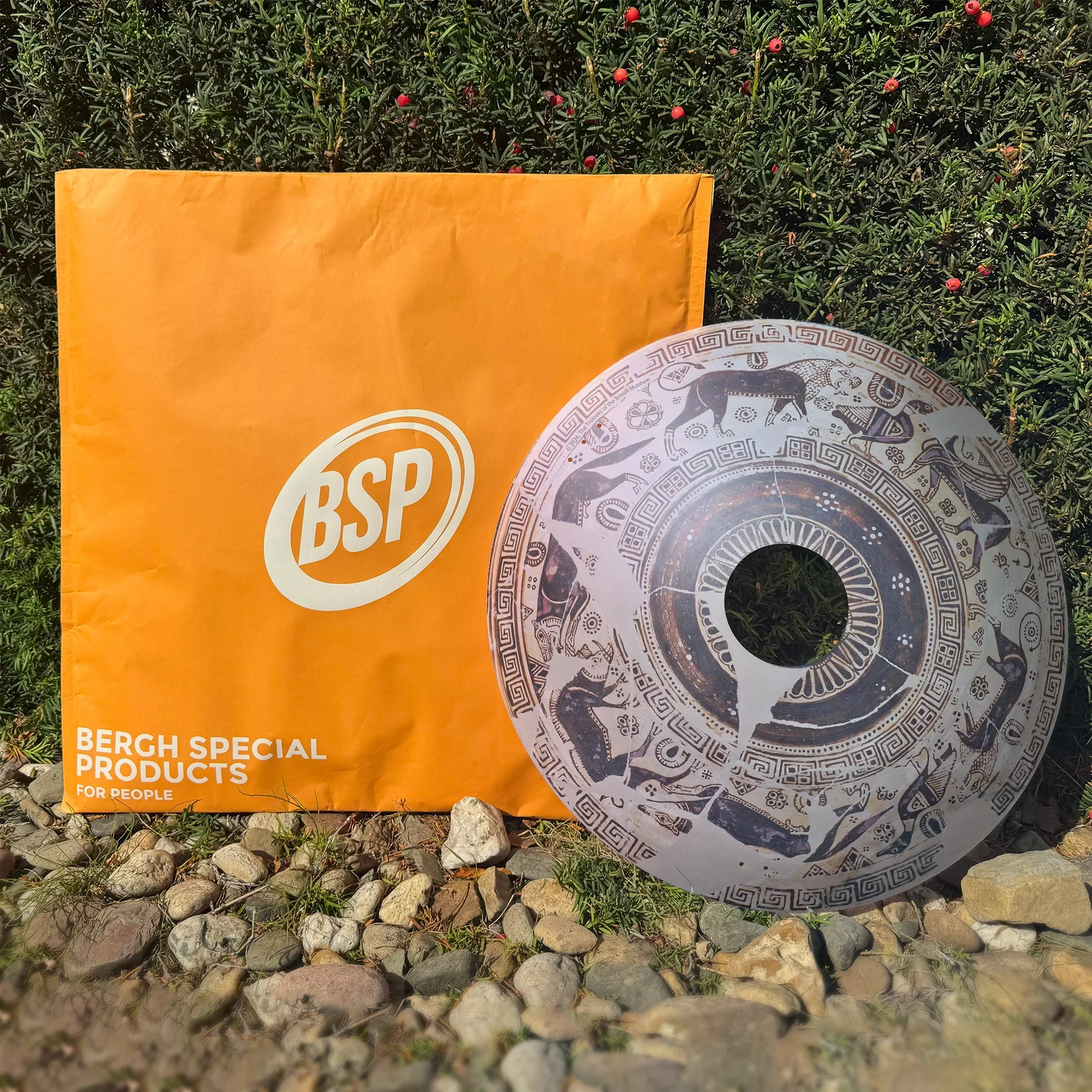 Decorative wheelchair spoke guard with wild goat design beside orange BSP packaging outdoors