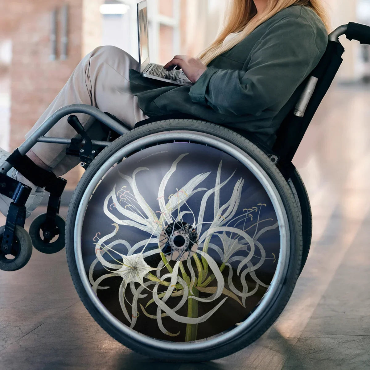 Woman using wheelchair with decorative sea daffodil spoke guard, working on laptop indoors